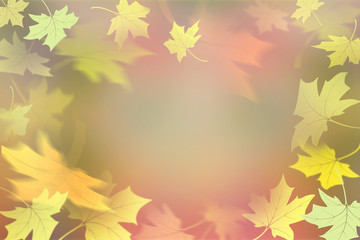 Autumn abstract background. Fall maple leaves. Flying foliage 