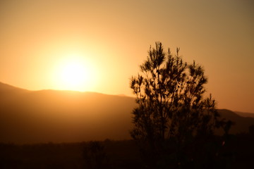 Fototapeta na wymiar Desert Sunset View in California Golf Course