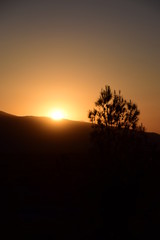Fototapeta na wymiar Desert Sunset View in California Golf Course