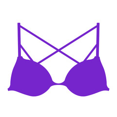 Isolated romantic bra image. Vector illustration design