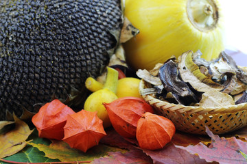 Still leaves fall pumpkin