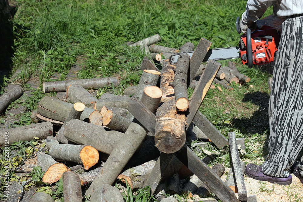 Wall mural chainsaw to cut firewood