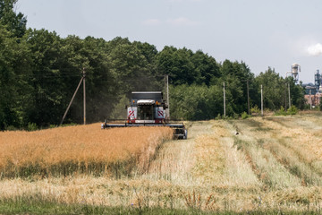 Obraz premium Tractor in a field agriculture in a sunny day