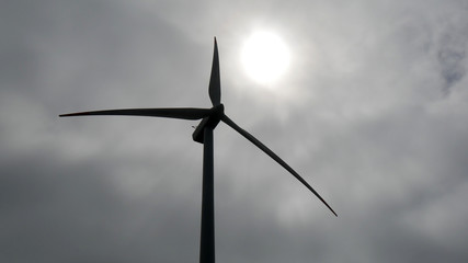 Turbine eoliche per energia ecologica