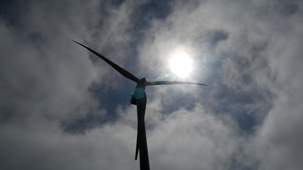 Energia eolica ecologica