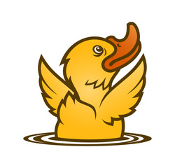 Little yellow baby duck emerging from water