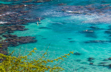 Fototapeta premium People snorkeling in the beautiful water of Hanauma Bay Hawaii