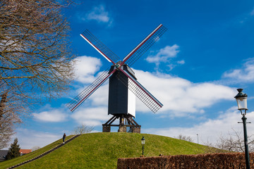 Fototapeta premium Windmill under a beautiful blue winter sky just before spring at the historical Bruges town