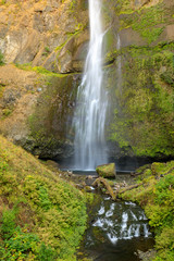 Fototapeta na wymiar Multnomah Falls in the Columbia River Gorge near Portland