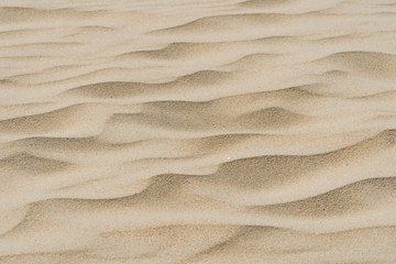 Fototapeta na wymiar Sand texture pastel colours coast beach vacation