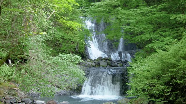 長野県木曽 こもれびの滝