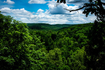 Obraz premium Alley springs overlook in Missouri