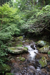 Obraz premium 花園渓谷