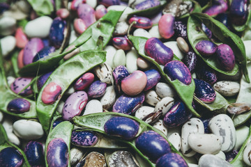 Multicolored beans lie flat
