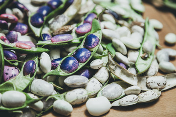 Multicolored beans lie flat