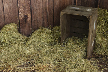 stara drewniana skrzynia w stodole © katherine_gee