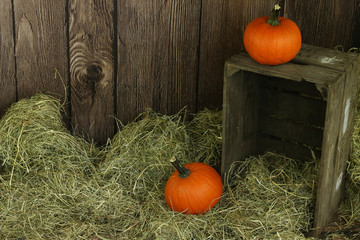 halloweenowe dynie w drewnianej starej skrzyni