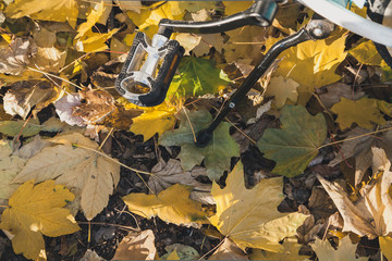 bicycle is on wedge leaves