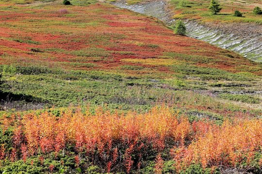 alpages en automne