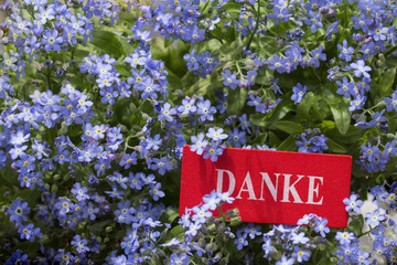 DANKE Schriftzug auf rotem Schildchen in blauen Blüten