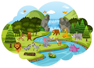 Obraz premium Animals in forest scene