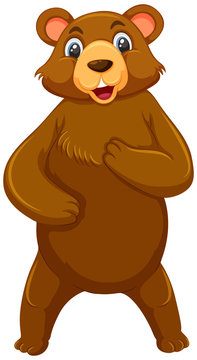 Standing cute brown bear