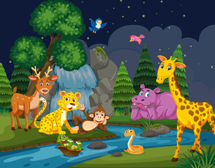 Wild animals in woods at night