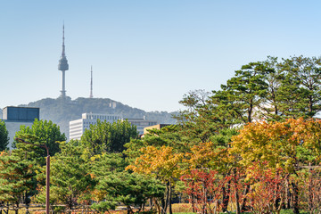 Obraz premium Wonderful autumn park in Seoul, South Korea. Namsan Seoul Tower