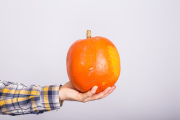 Farm, autumn and harvest concept - pumpkin in man's hand over white background with copy space
