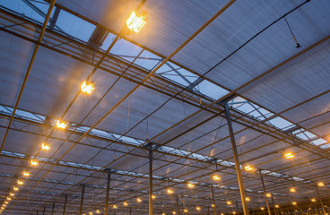 the roof of the greenhouse with a burning lighting equipment, evening hours
