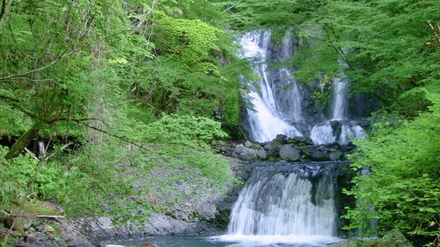 長野県木曽 こもれびの滝