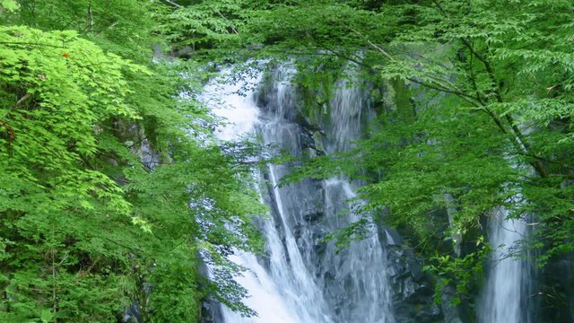 長野県木曽 こもれびの滝