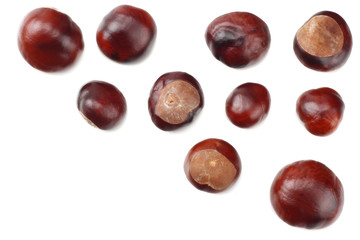 chestnuts isolated on white background. top view