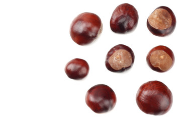 chestnuts isolated on white background. top view