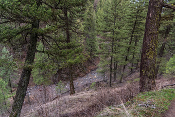 Deep Creek Canyon in Riverside State Park. Nine Mile Falls, Washington.