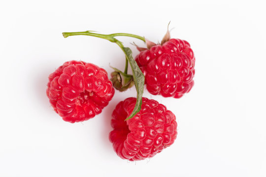 Sweet Raspberry with leaves on white background.