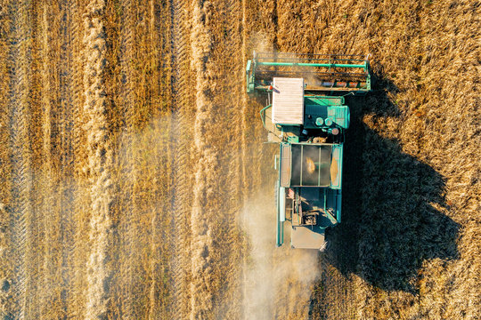 Shooting From Above, Combine Harvester Works On A Wheat Field.