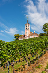 Fototapeta na wymiar Wonderful view of the pilgrimage church in Birnau at Lake Constance with the vines in the foreground