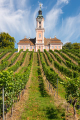 Fototapeta na wymiar Beautiful view of the pilgrimage church in Birnau at Lake Constance with the vines in the foreground with a spectacular sky and clouds