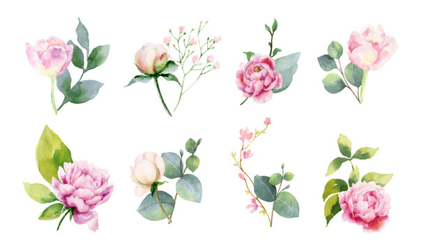 Watercolor vector set of bouquets of green branches and flowersset of bouquets of green branches and flowers.