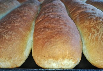 Fresh pastry, long buns on a roasting pan