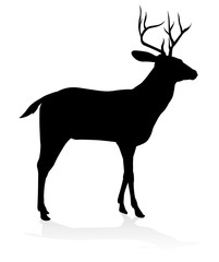 High quality animal silhouette of a deer