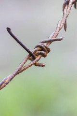 Old and rusty barbed wire