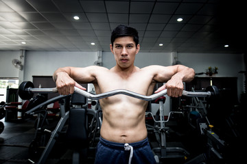 Handsome Attractive Asian men workout with EZ curl bar in gym for build muscle and strong body,Bodybuilder concept