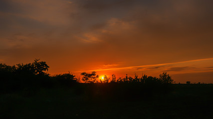 Fototapeta na wymiar field at sunset in summer