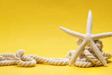 Fototapeta na wymiar Starfish and rope on a plain yellow background