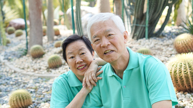 Happy Asian elderly couple laugh together in green natural park background