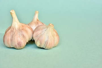 garlic