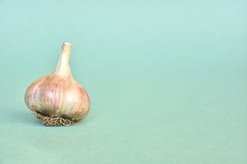 garlic