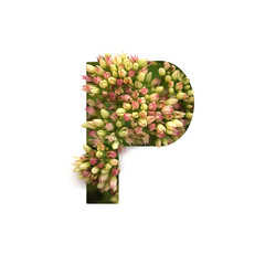 Cut out letter P with growing plant inside. Part of the alphabet.
